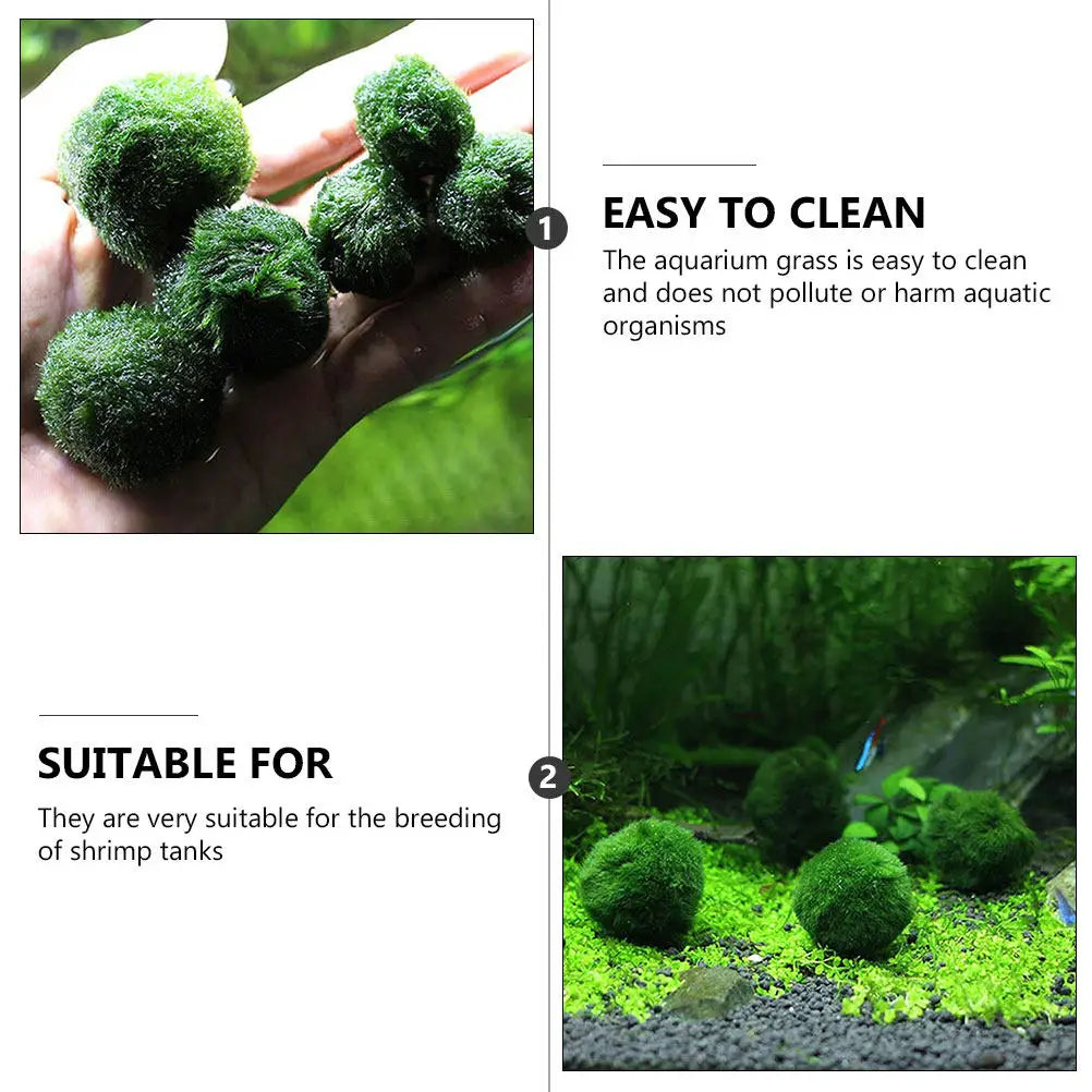 10Pcs Hydroponic Aquatic balls Decorative Fish Tank Supplies Creative Algae Balls Easy Growing Aquarium Plants