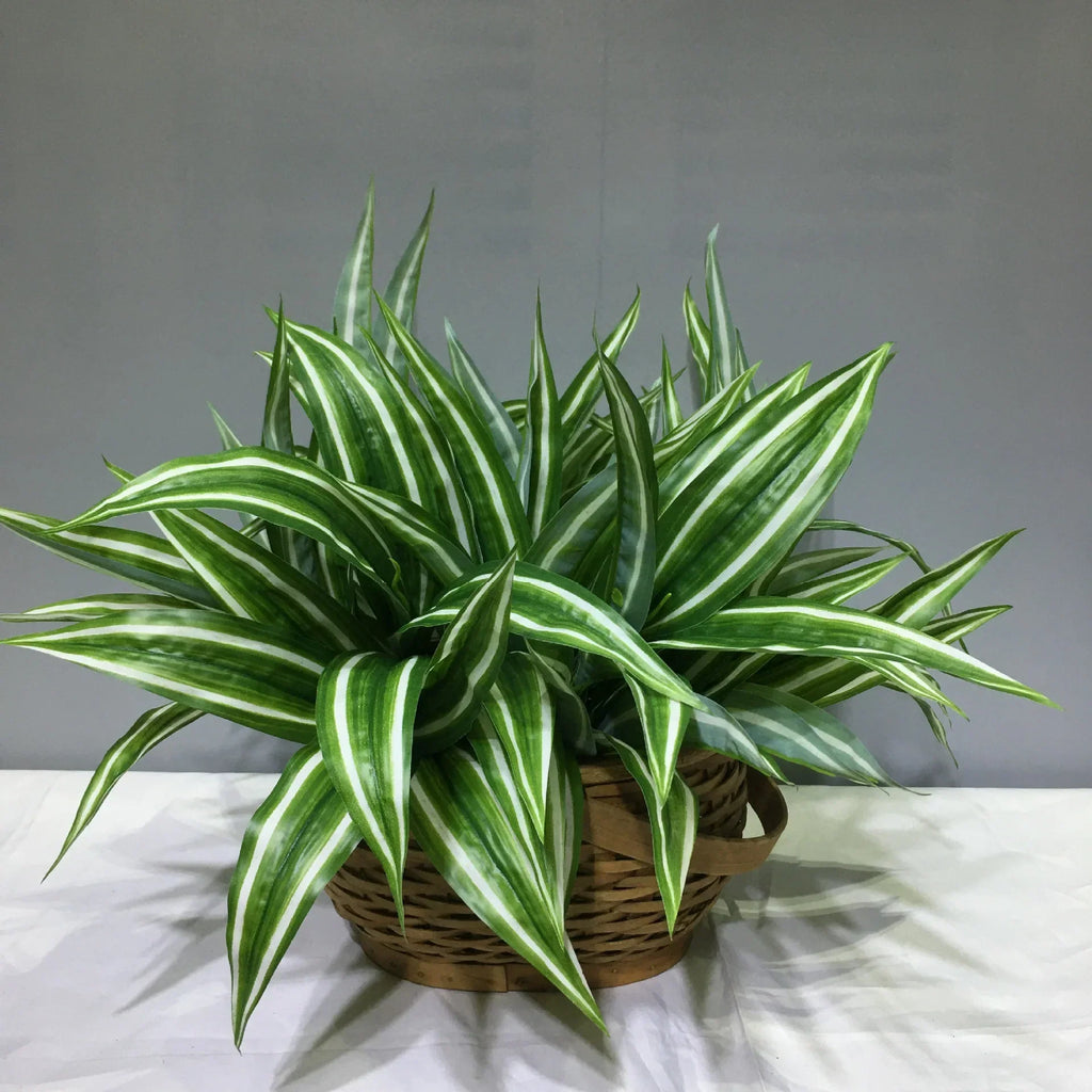 Dlight Decor Aloe Leaf Plant for Fresh Indoor Outdoor Style