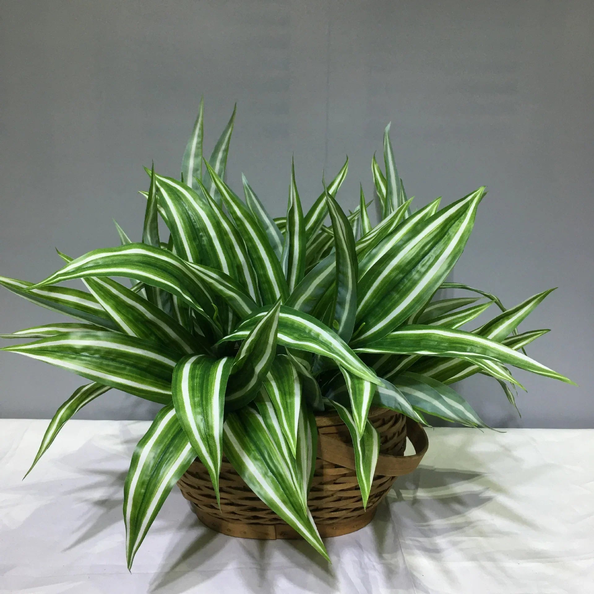 Dlight Decor Aloe Leaf Plant for Fresh Indoor Outdoor Style
