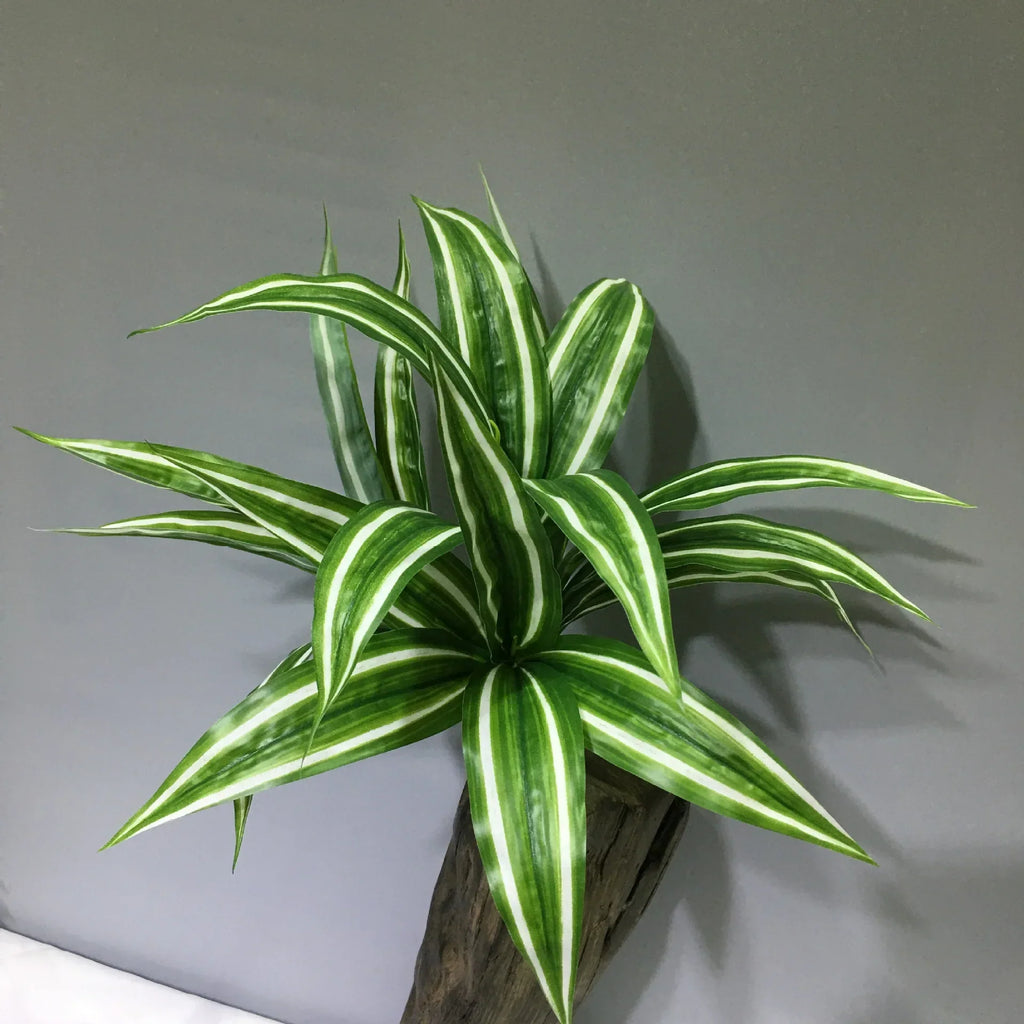 Dlight Decor Aloe Leaf Plant for Fresh Indoor Outdoor Style