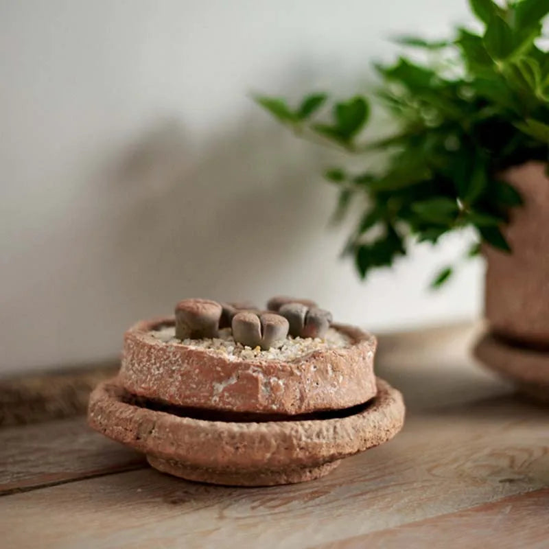 Retro Gardening Small Flowerpot Home Decoration Handmade Ceramic Terracotta Pot Hammered Basin with Tray Succulent Planting