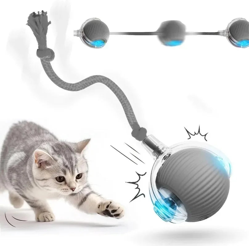 Cat Interactive Ball Toy Pet Automatic Rolling Ball Rechargeable Smart Puppy Interactive Toy Dog Electric Training Imitate Mouse