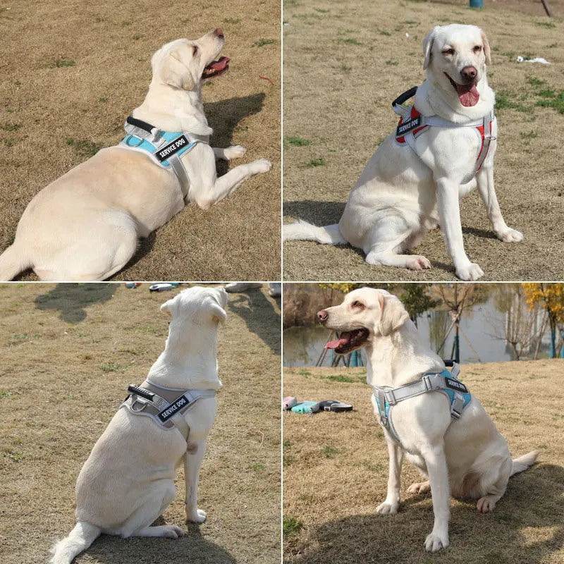 Customized Name Dog Harness Labrador Retriever Harness Medium Large Dog Reflective Adjustable Outdoor Walking Pet Supplies