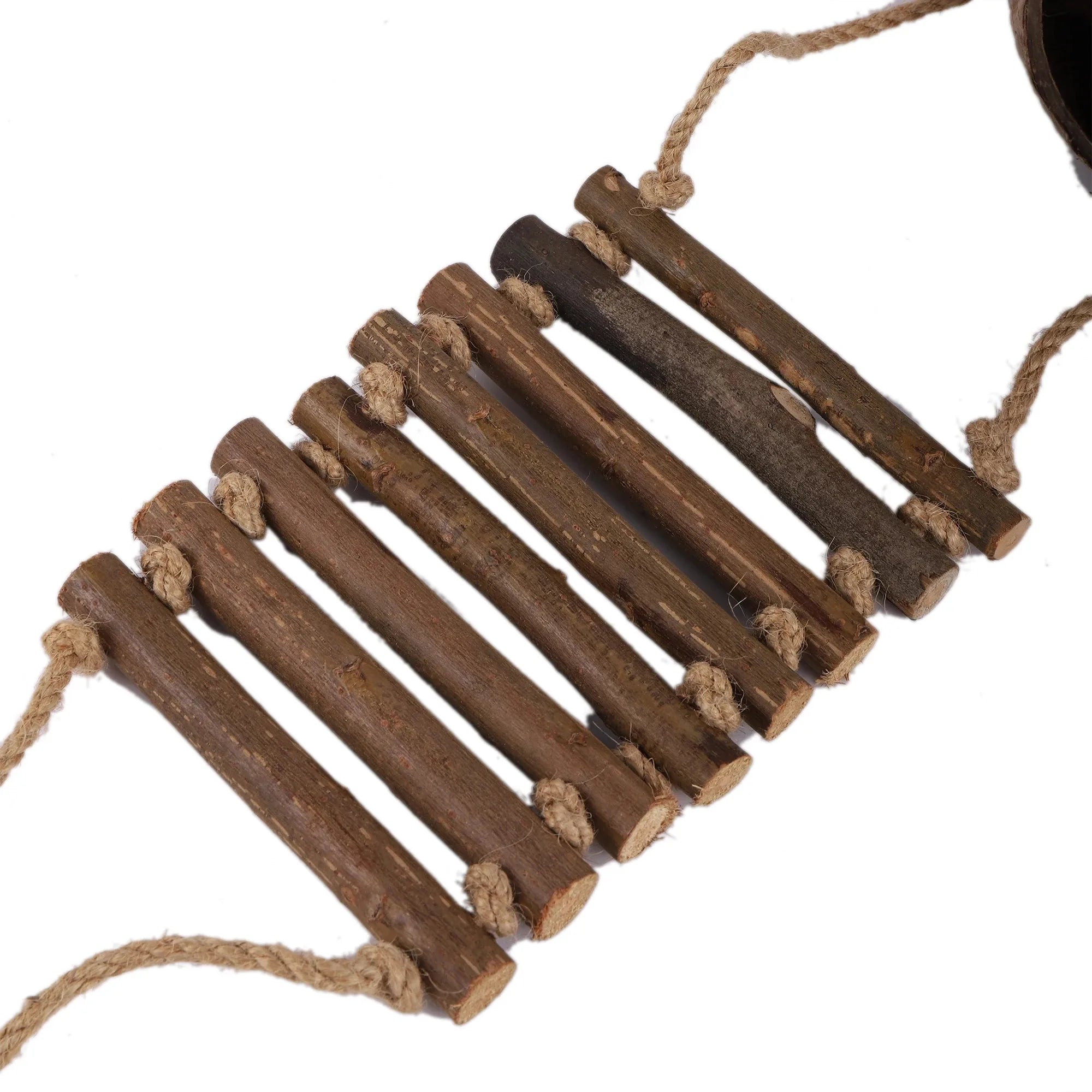 1 Pc Natural Coconut Shell Bird Nest Pet Bird Hanging Bird Nest Coconut Fiber Bird Nest Box With Ladder Pet Parrot Bird House