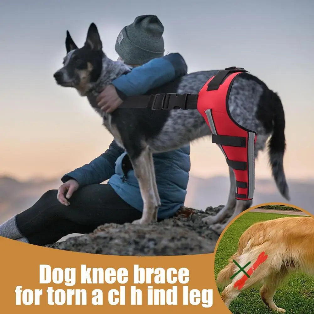 Dog Hip Brace Pet Orthopedic Joint Support Brace Portable Pet Knee Wound Protection For Small Animals Recovery