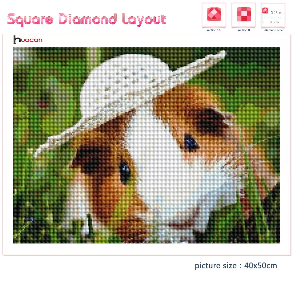 Huacan 5d Diamond Painting New Arrivals Guinea Pig Cross Stitch Embroidery Pet Rat Mosaic Mouse Home Decor