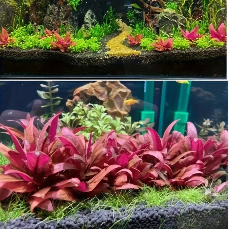 500g 1000g Aquarium Plant Substrate Aquatic Soil for Fish Tank Decoration and Aquascaping Essential for Aquarium Enthusiasts