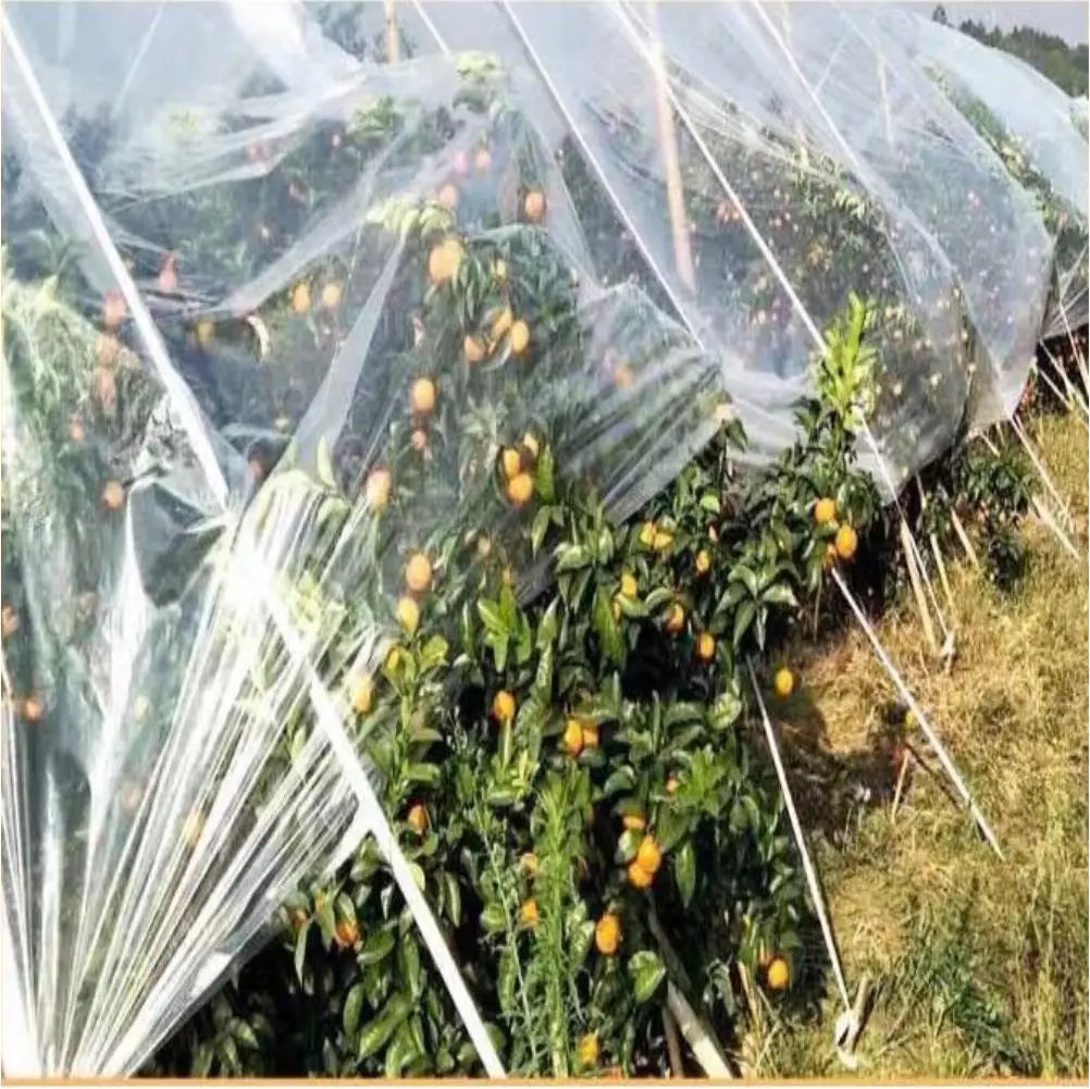 Gardening Greenhouse Film Growhouse Covers Frame Protective Vegetable Plant Flowers Grow Poly Film Cover Rain-pn-proof Keep Warm