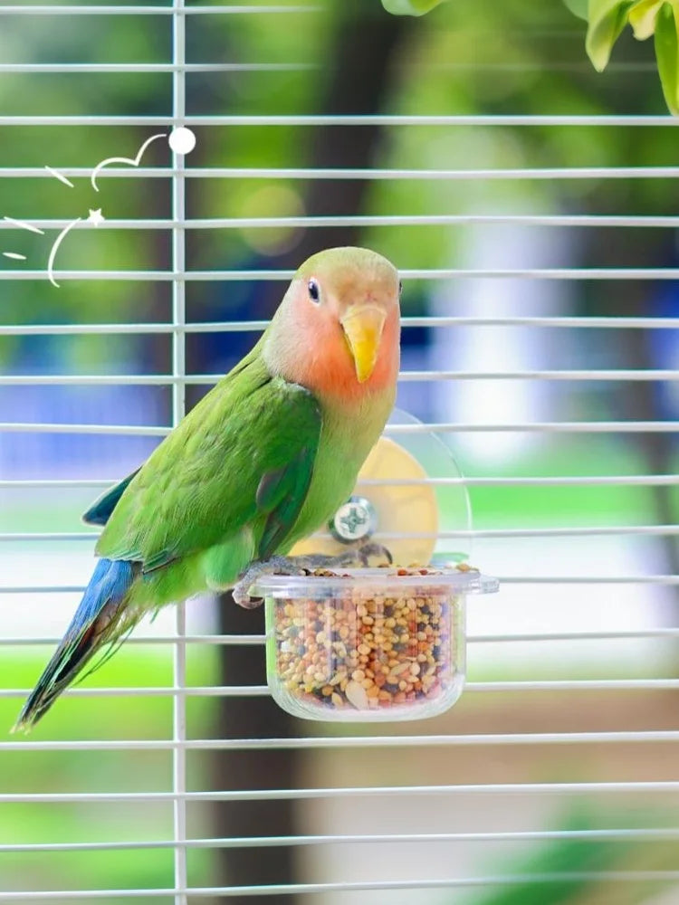 Bird Transparent Feeder Feeding Basin With Antiskid Stand Bowls Acrylic Bird Cage Feeder Fixed Food Bowl Parakeets Feeders