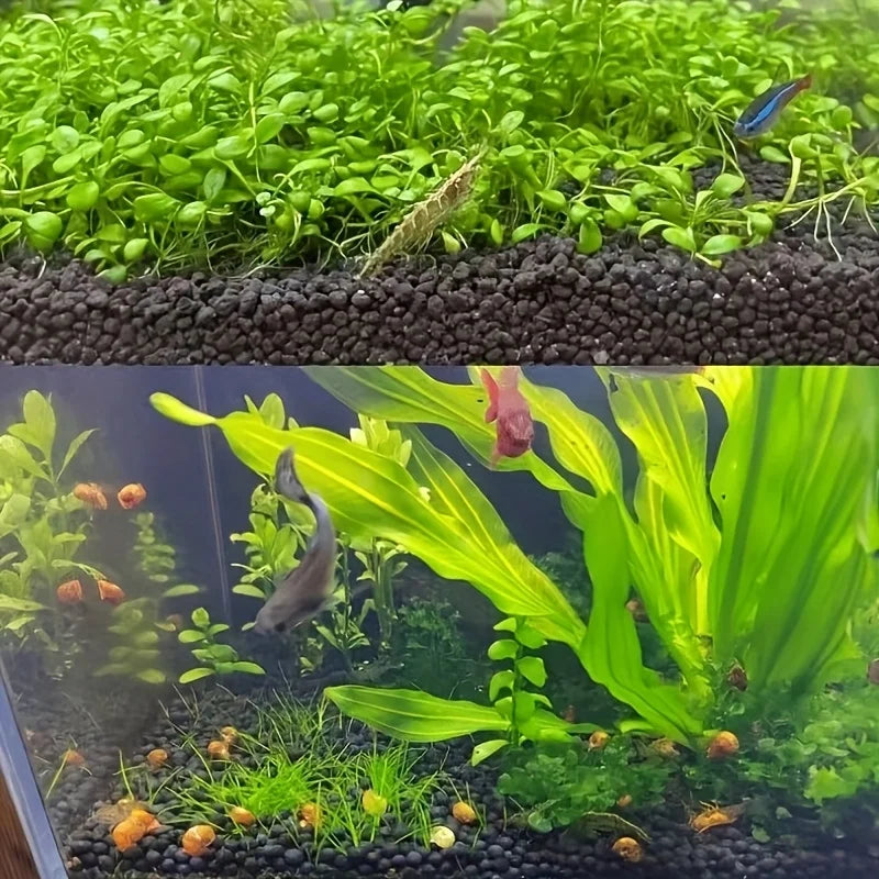 500g 1000g Aquarium Plant Substrate Aquatic Soil for Fish Tank Decoration and Aquascaping Essential for Aquarium Enthusiasts