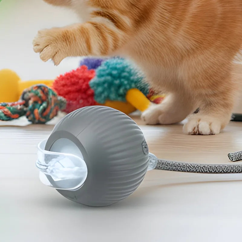 Cat Interactive Ball Toy Pet Automatic Rolling Ball Rechargeable Smart Puppy Interactive Toy Dog Electric Training Imitate Mouse