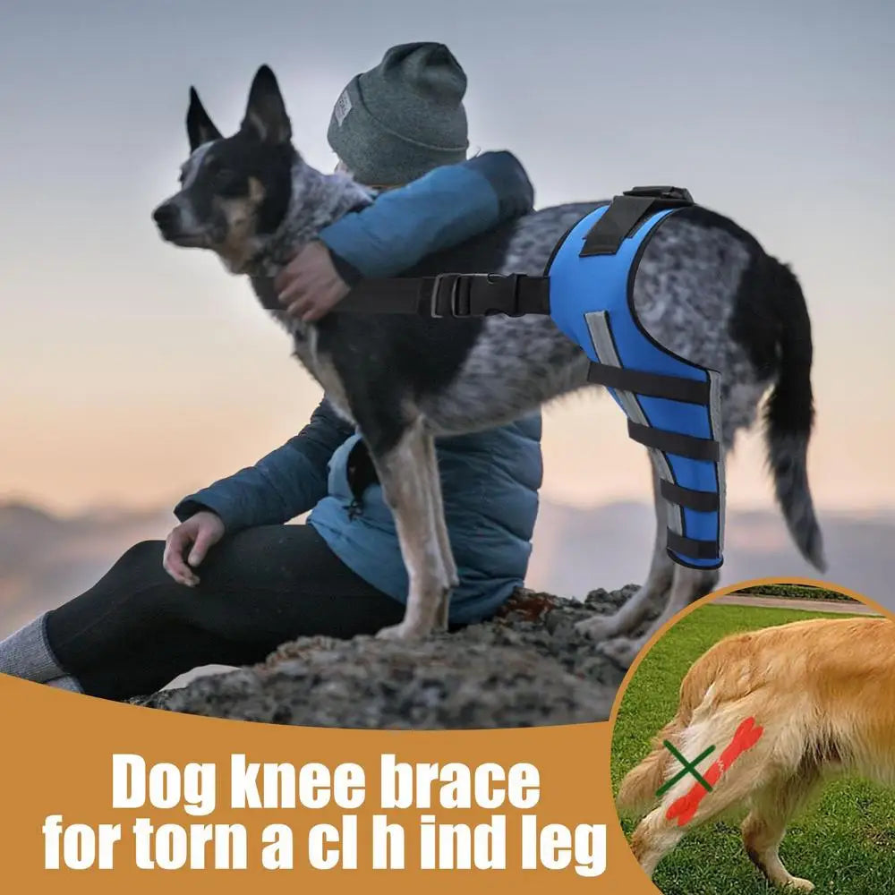 Dog Hip Brace Pet Orthopedic Joint Support Brace Portable Pet Knee Wound Protection For Small Animals Recovery