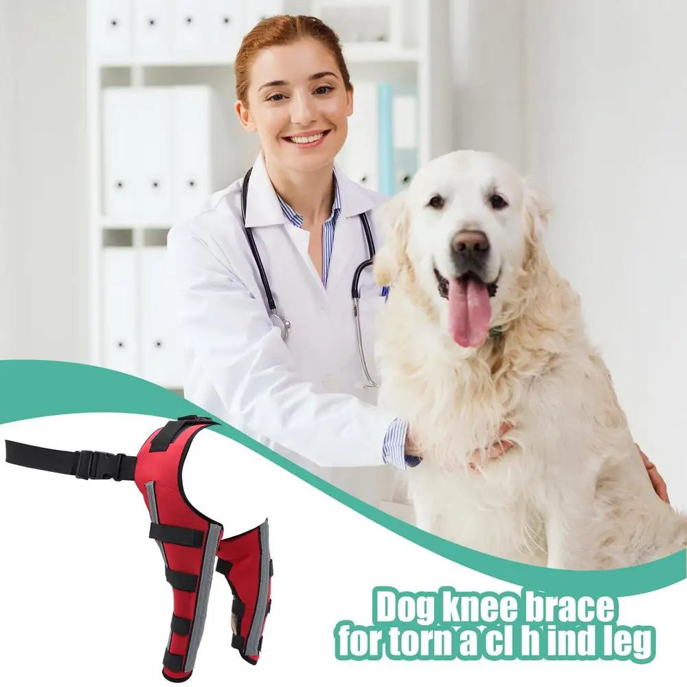 Dog Hip Brace Pet Orthopedic Joint Support Brace Portable Pet Knee Wound Protection For Small Animals Recovery