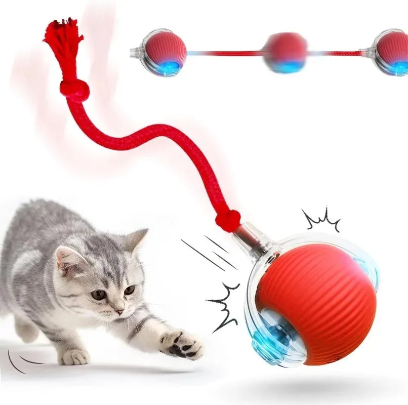 Cat Interactive Ball Toy Pet Automatic Rolling Ball Rechargeable Smart Puppy Interactive Toy Dog Electric Training Imitate Mouse