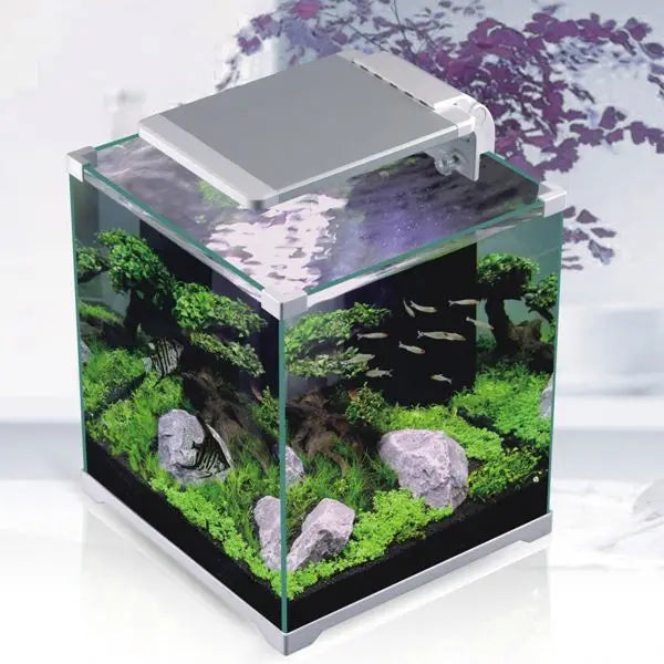 Large Glass Aquarium Kit, Customizable Eco-Friendly Fish Tank, Built-in LED Lighting & Water Pump for Professional Aquascaping