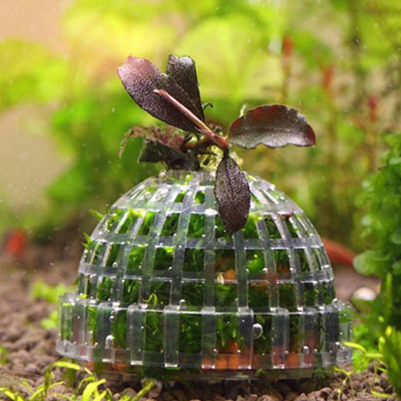 New Aquatic Pet Supplies Decorations Aquarium Moss Ball Live Plants Filter Pet Decor