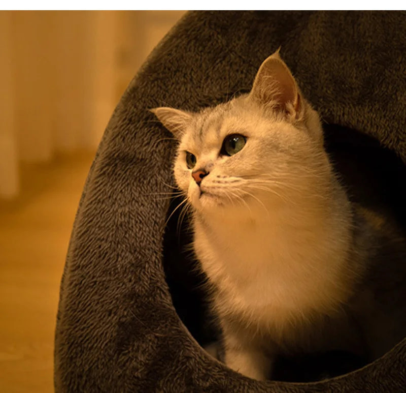 Winter Warm Cat Bed Comfortable Foldable Cat's House Plush Pet Soft Bed Sofa for Small Medium Dogs Cats Puppy Sleep Cushion Nest