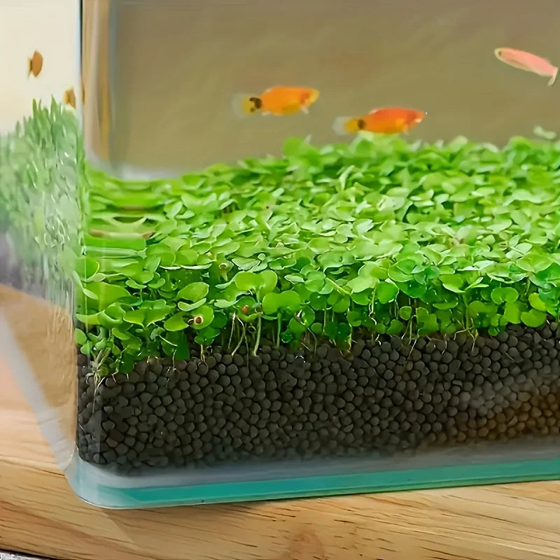 500g 1000g Aquarium Plant Substrate Aquatic Soil for Fish Tank Decoration and Aquascaping Essential for Aquarium Enthusiasts