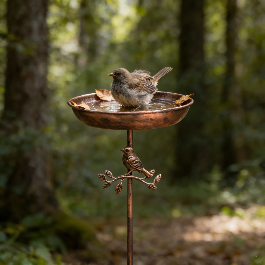 A wrought iron bird bath and feeder in one, featuring a rust-proof design and a stable 5-prong ground stake.  Perfect for garden