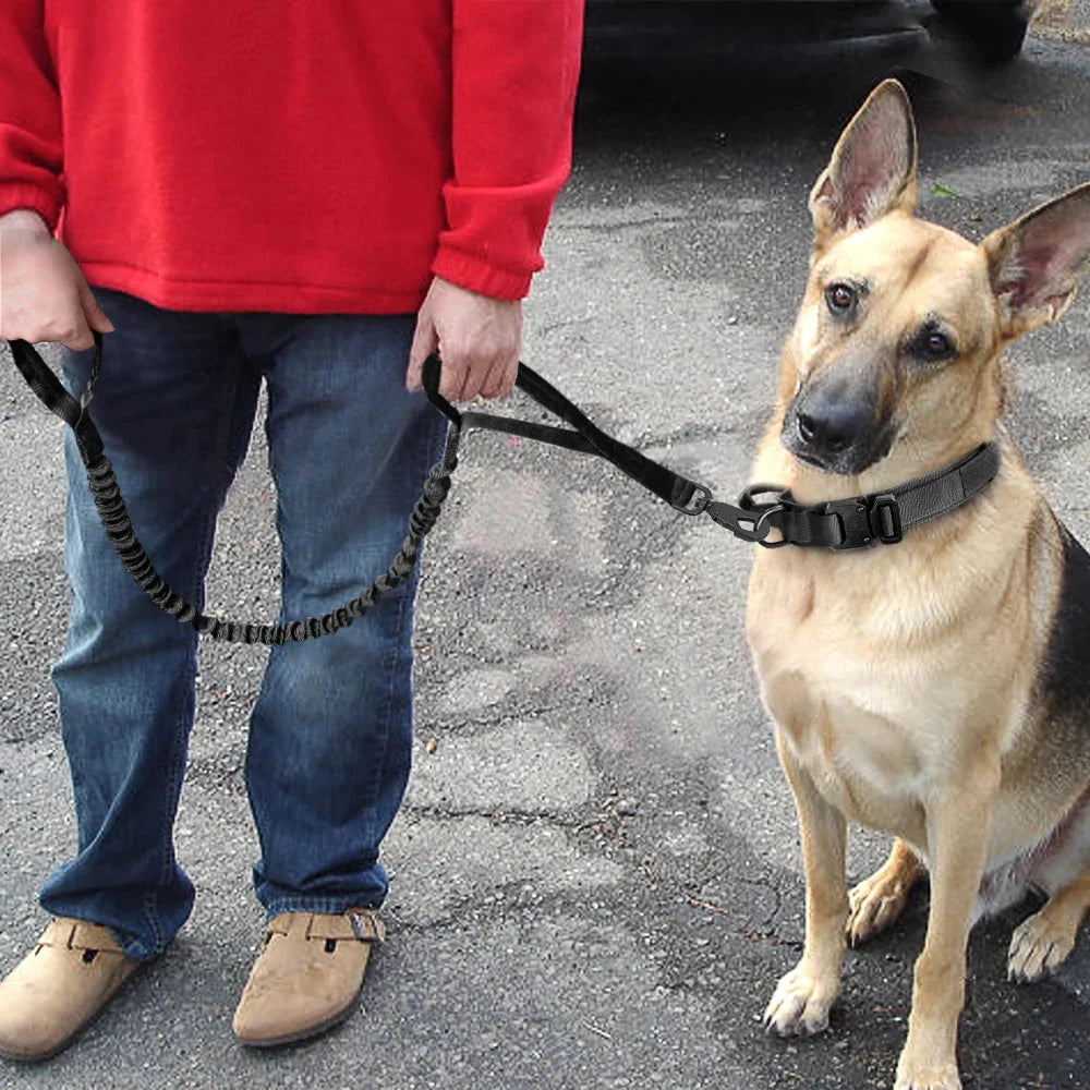 The Tactical Luxe Collar & Leash