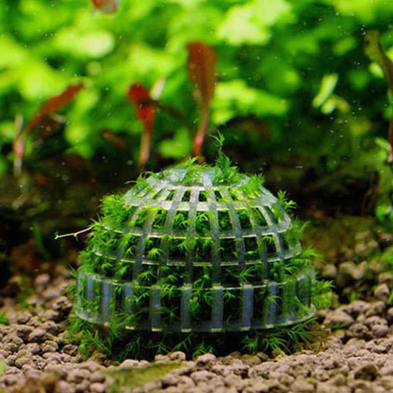 New Aquatic Pet Supplies Decorations Aquarium Moss Ball Live Plants Filter Pet Decor