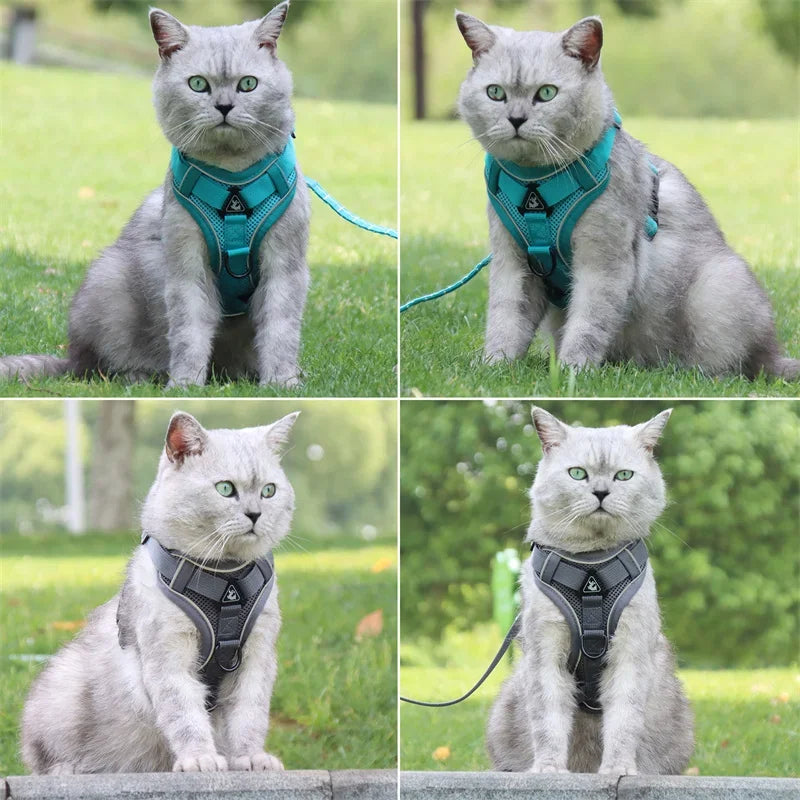 High Quality Fashion Cat Dog Harness and Leash Set Reflective Pet Harnesses Vest for Cats Small Dogs Pets Out Door Walk Supplies