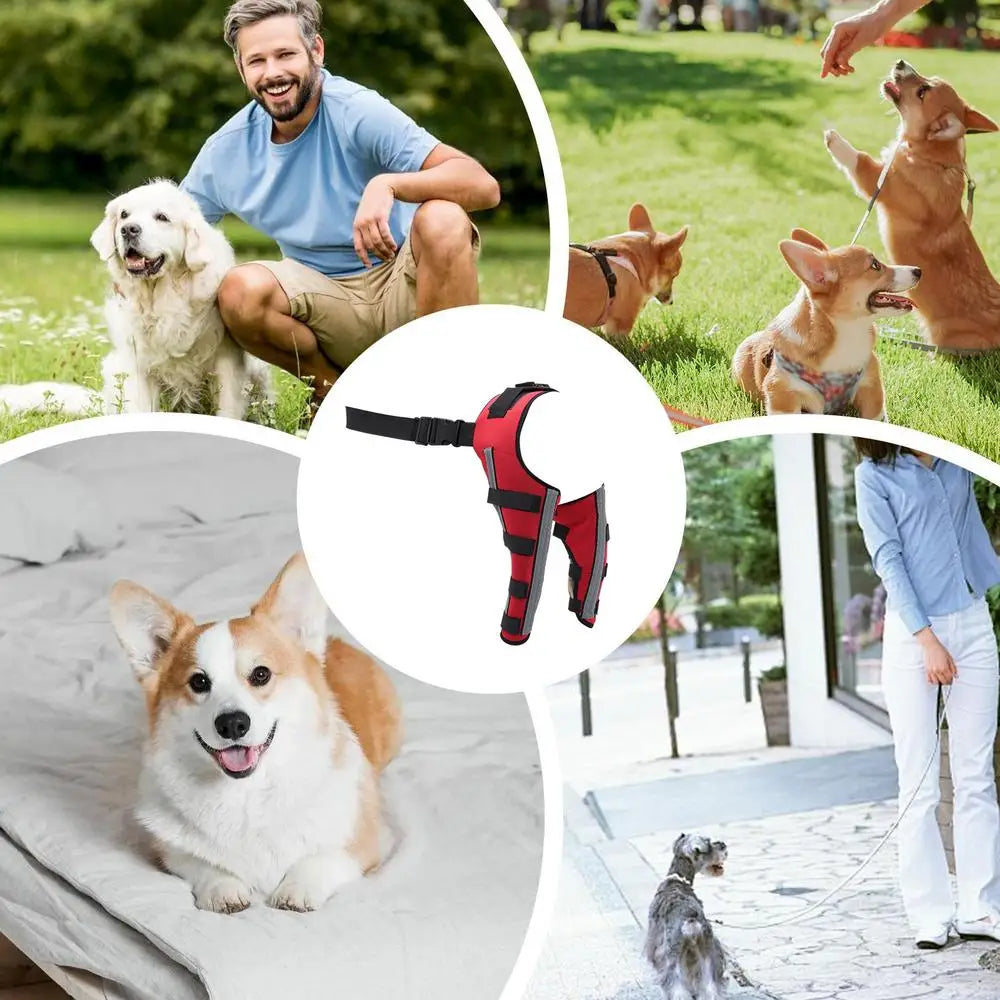 Dog Hip Brace Pet Orthopedic Joint Support Brace Portable Pet Knee Wound Protection For Small Animals Recovery