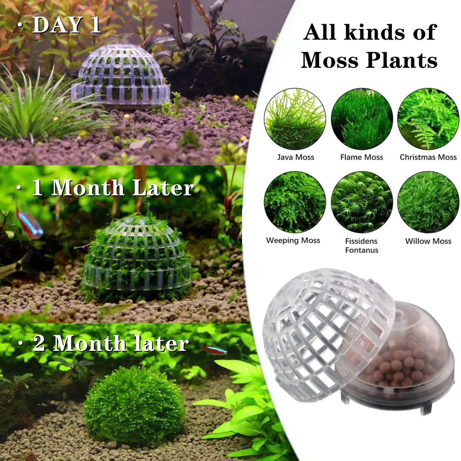 New Aquatic Pet Supplies Decorations Aquarium Natural Moss Ball Live Plants Filter Pet Fish Tank Decor Accessories
