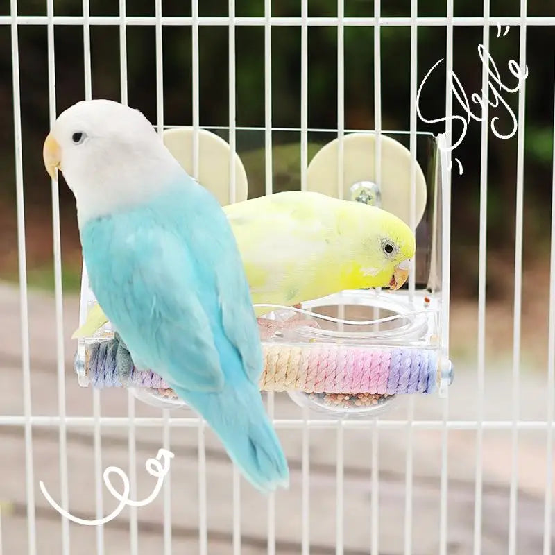 Bird Transparent Feeder Feeding Basin With Antiskid Stand Bowls Acrylic Bird Cage Feeder Fixed Food Bowl Parakeets Feeders
