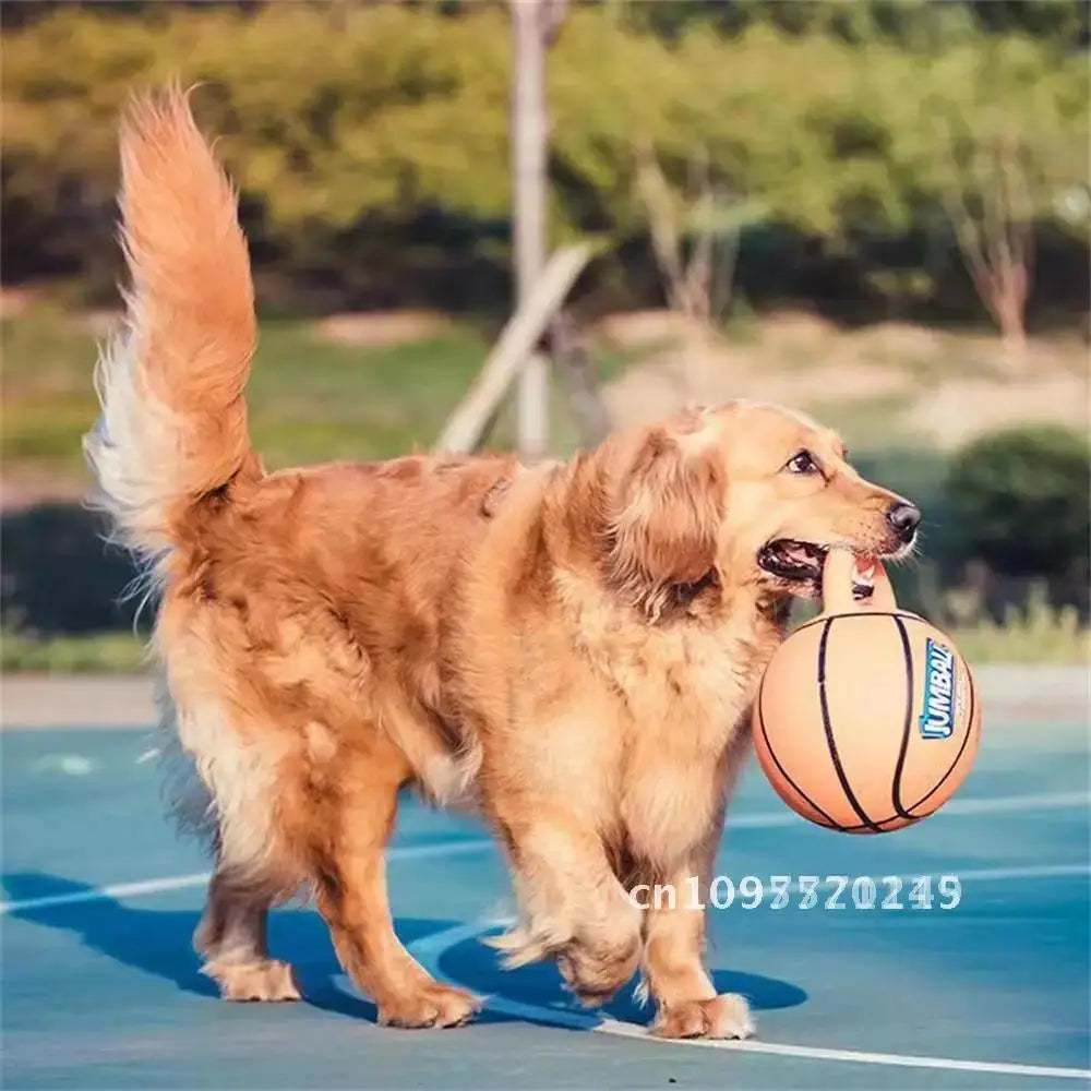 Pet Toy Toy Ball Bite-Resistant Basketball Rubber Handle Indestructible, Small and Dog Ball Game Interactive Training Large Dog