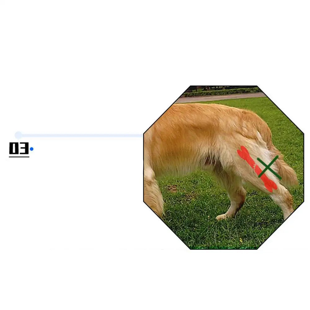 Dog Hip Brace Pet Orthopedic Joint Support Brace Portable Pet Knee Wound Protection For Small Animals Recovery