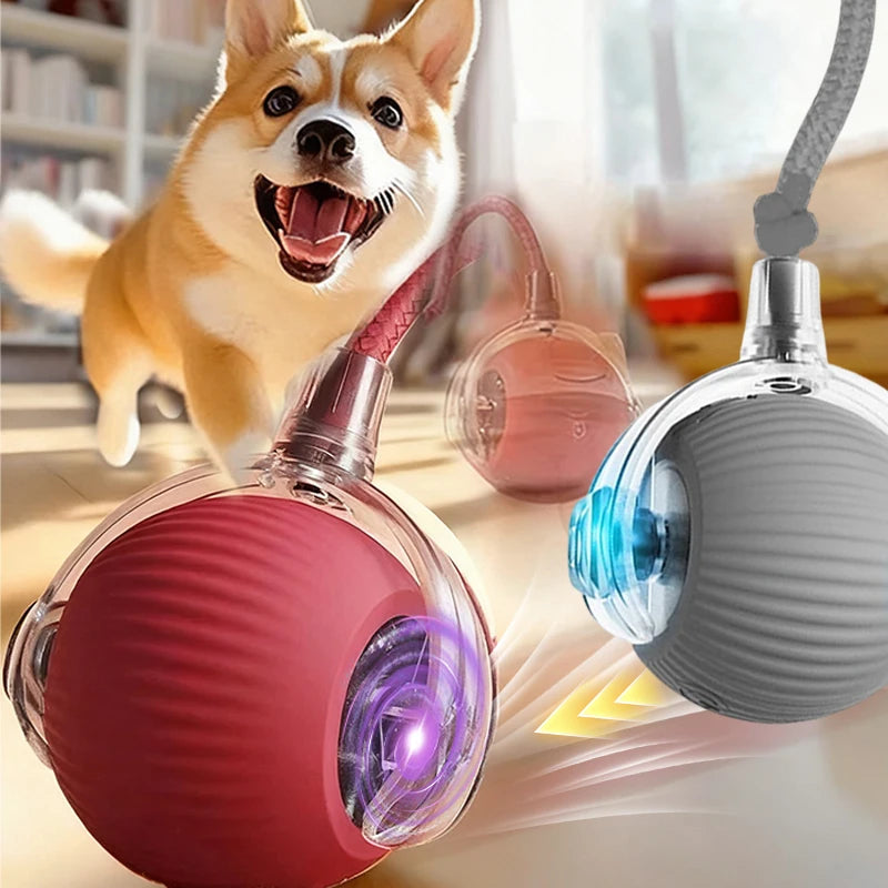 Cat Interactive Ball Toy Pet Automatic Rolling Ball Rechargeable Smart Puppy Interactive Toy Dog Electric Training Imitate Mouse