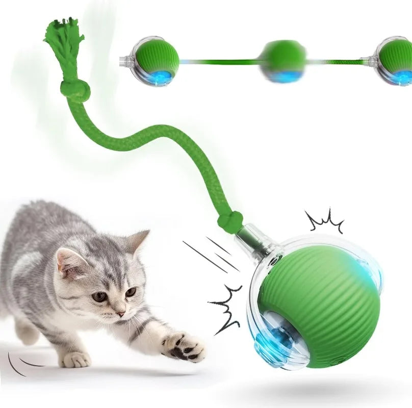 Cat Interactive Ball Toy Pet Automatic Rolling Ball Rechargeable Smart Puppy Interactive Toy Dog Electric Training Imitate Mouse