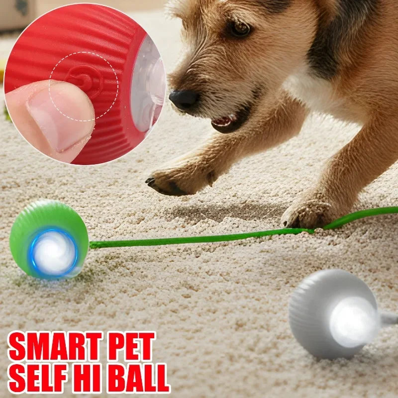 Cat Interactive Ball Toy Pet Automatic Rolling Ball Rechargeable Smart Puppy Interactive Toy Dog Electric Training Imitate Mouse