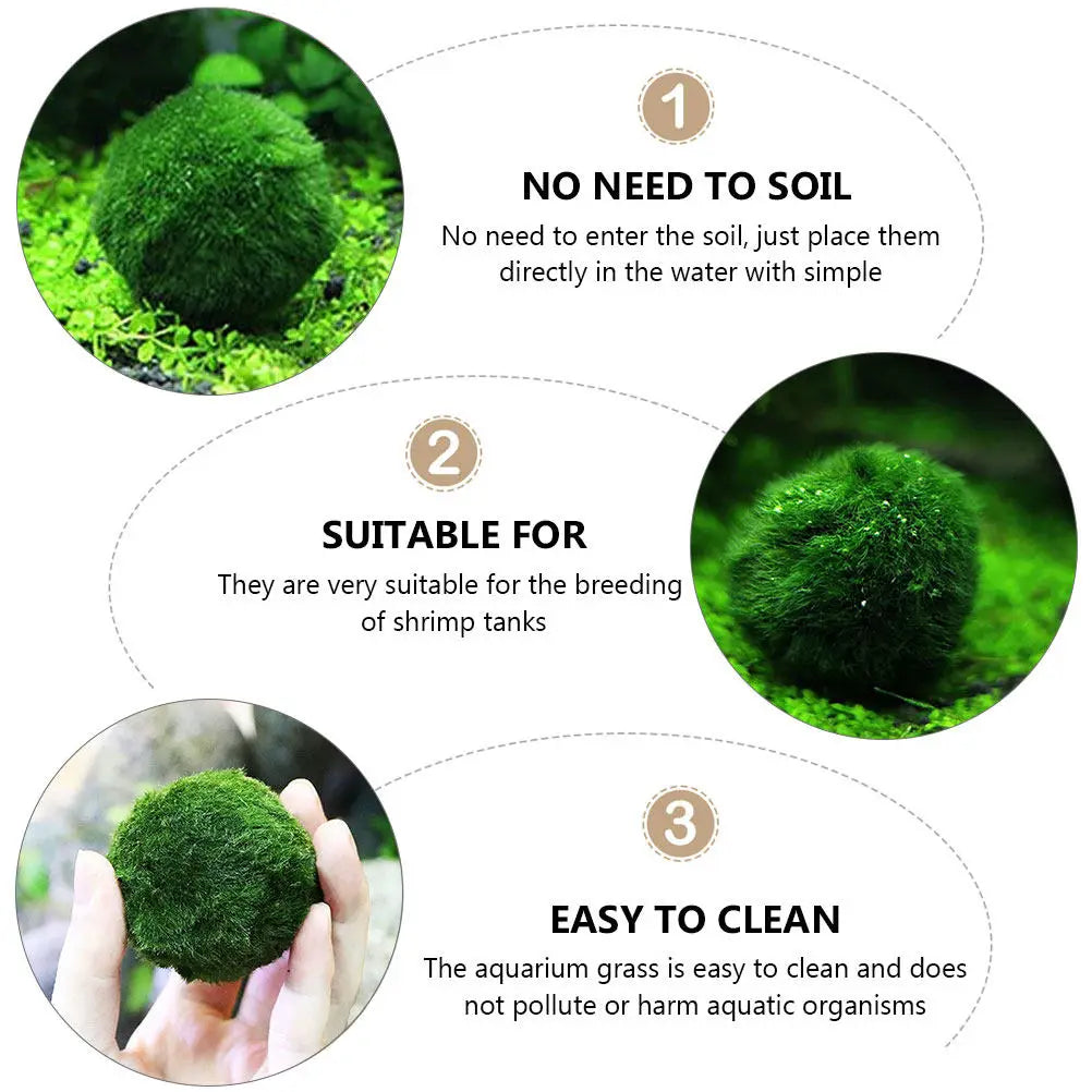 10Pcs Hydroponic Aquatic balls Decorative Fish Tank Supplies Creative Algae Balls Easy Growing Aquarium Plants