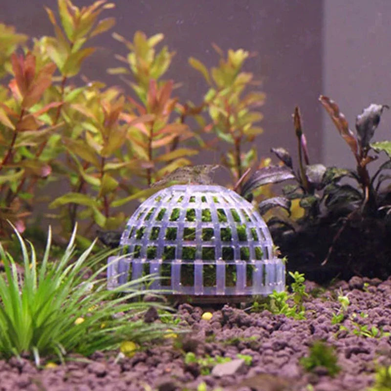 Aquatic Pet Supplies Decorations Aquarium Moss Ball Live Plants Filter Pet Decor