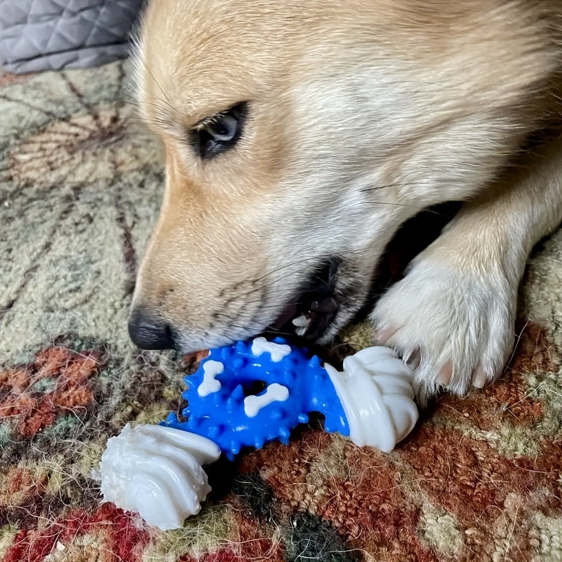 Durable Dog Chew Toy for Teeth Cleaning -