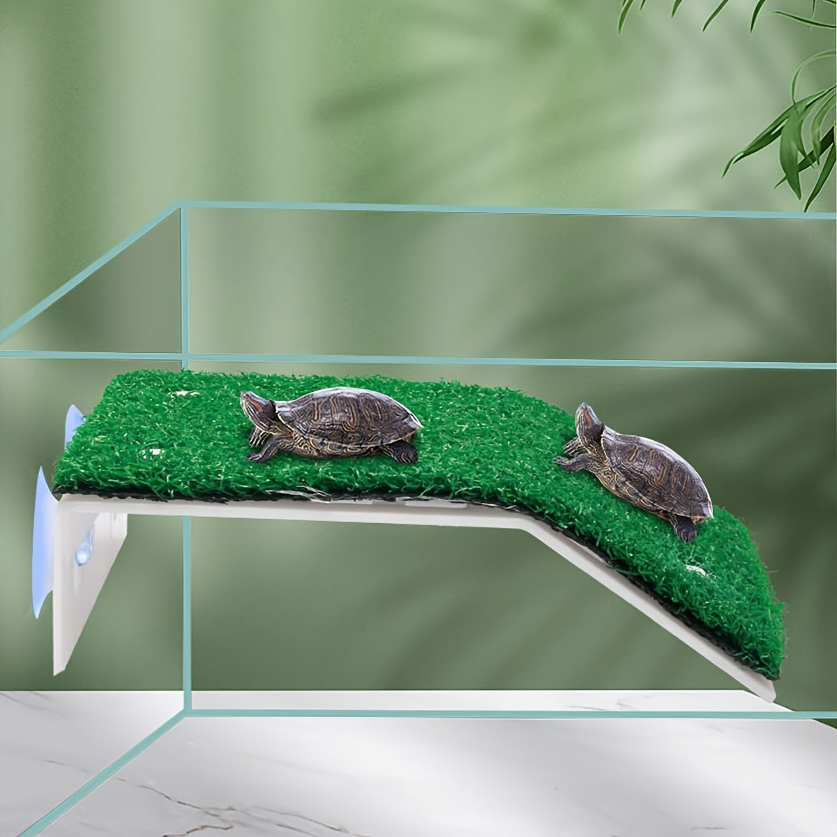 [Turtle Basking Platform] Suction Cup Climbing Ladder Turtle Basking Drying Resting Platform | Fish Tank Decoration