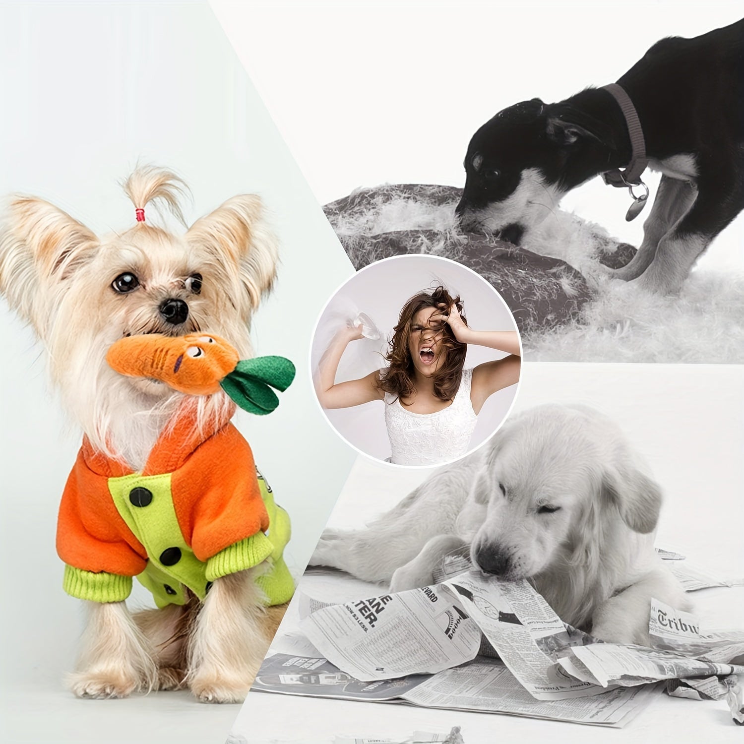 Nocciola Dog Squeaky Toys, Plush Small Dog Toys for Dogs, Stuffed Dog Toys with Squeakers, 12 pcs Puppy Toys with a Carrying Bag for Small Medium Size Dogs