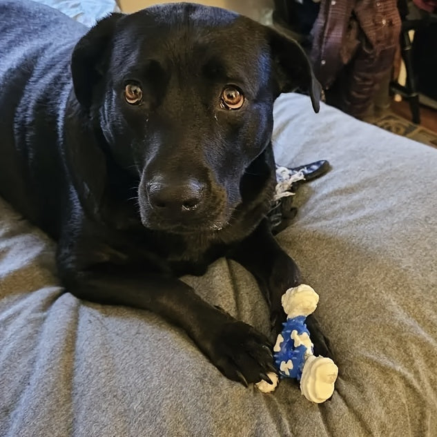 Durable Dog Chew Toy for Teeth Cleaning -