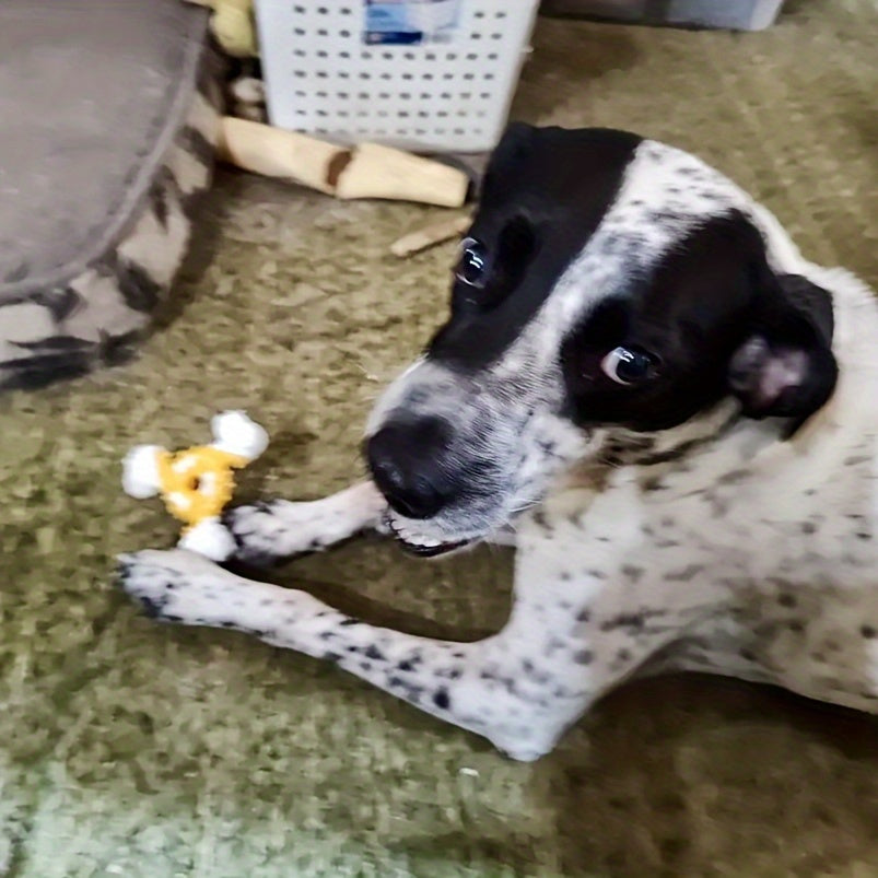 Durable Dog Chew Toy for Teeth Cleaning -
