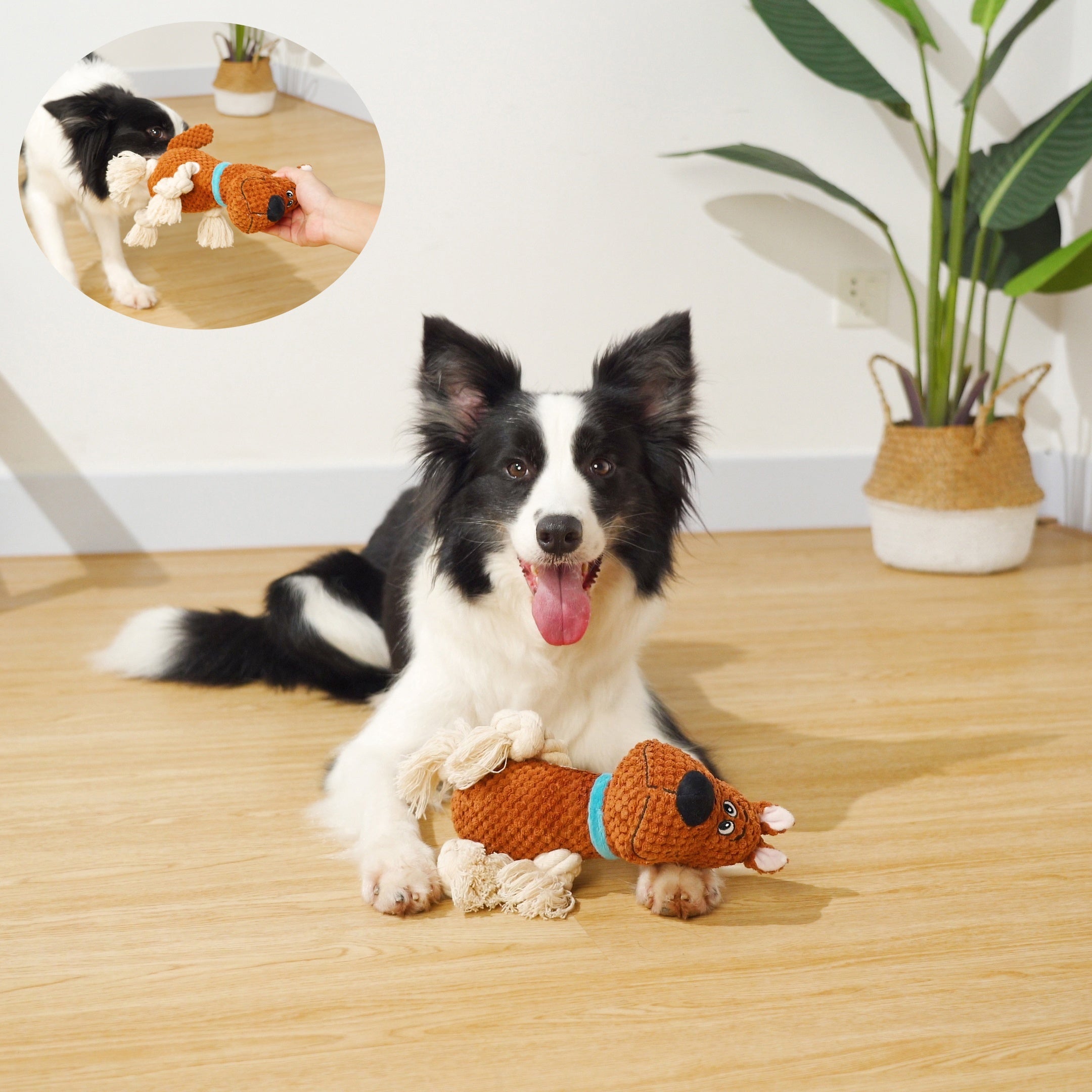 FunBite Squeak Toys - Interactive Tough Plush Rope Toys for Medium Large Aggressive Chewers, Stuffed with Crinkle Paper, Squeaky Dog Chew Toy for Outdoor Puppy Playtime