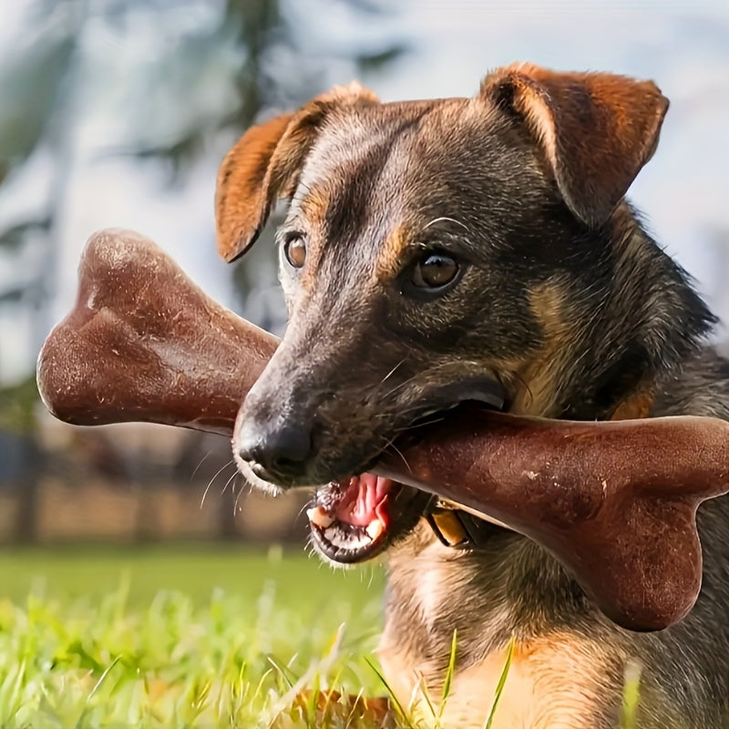 Beef-Flavored Durable Chew Toy for Dogs - Interactive Bone Design, Tough & Safe for All Breeds, Promotes Dental Health & Playtime Fun, Pet Dental Care | Engaging Pet Toy | Durable Polypropylene, Dog Toys for Aggressive Chewer