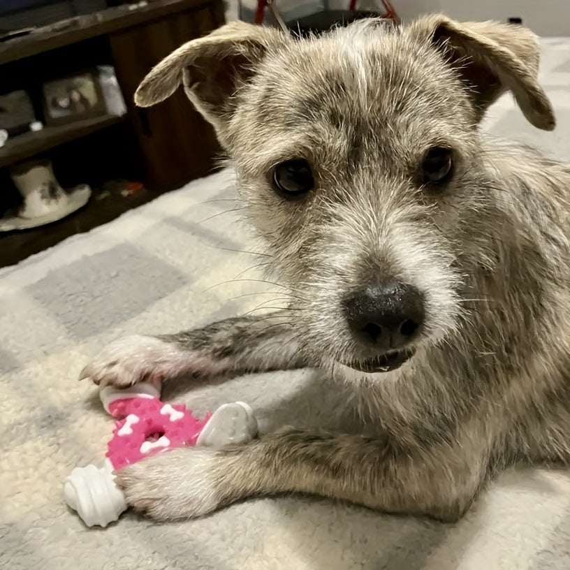Durable Dog Chew Toy for Teeth Cleaning -
