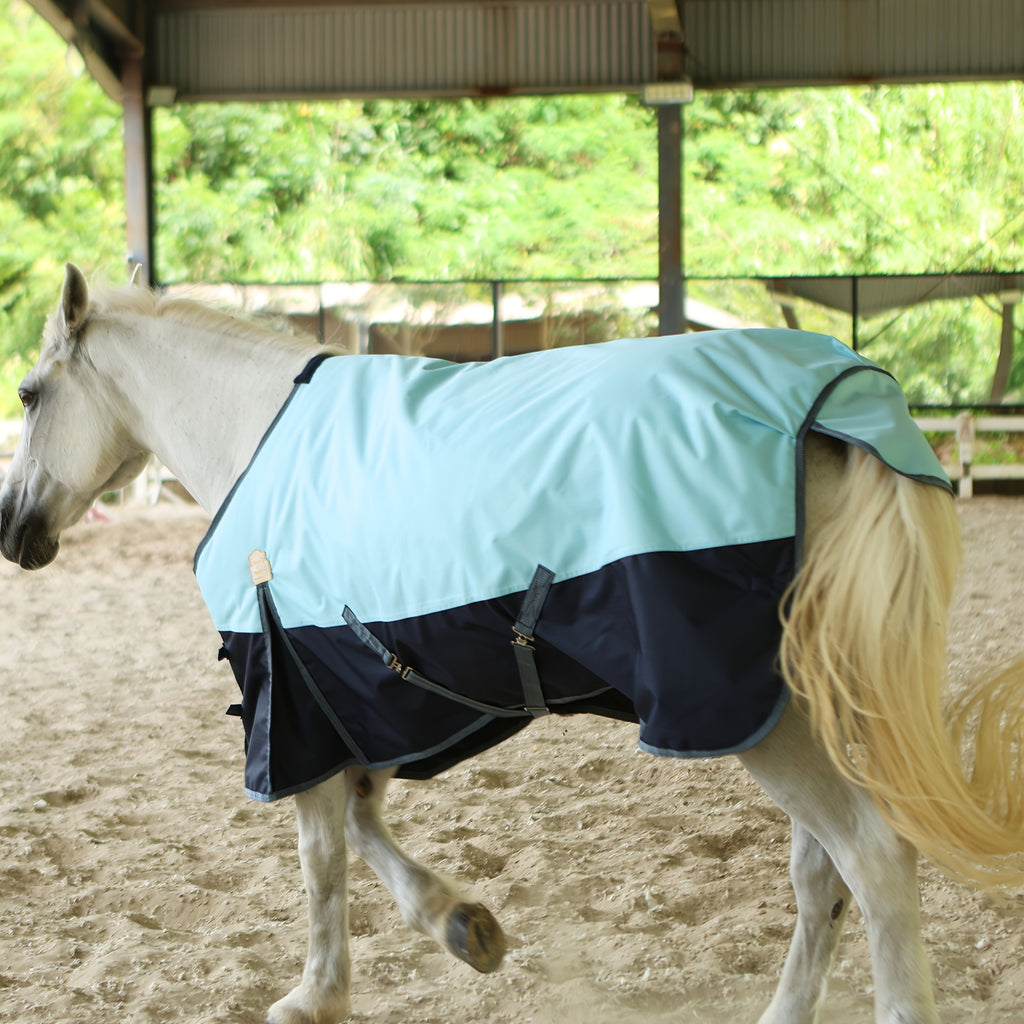 BARN & STABLE Heavy-Duty 600D Waterproof Horse Blanket - 3000mm/3000mvp Winter Turnout Rug with 200g Fill, & Adjustable Fit, All-Weather Horse Cover for Horses (Arabian, Thoroughbred, Shetland) - Durable Equestrian Gear, Hors