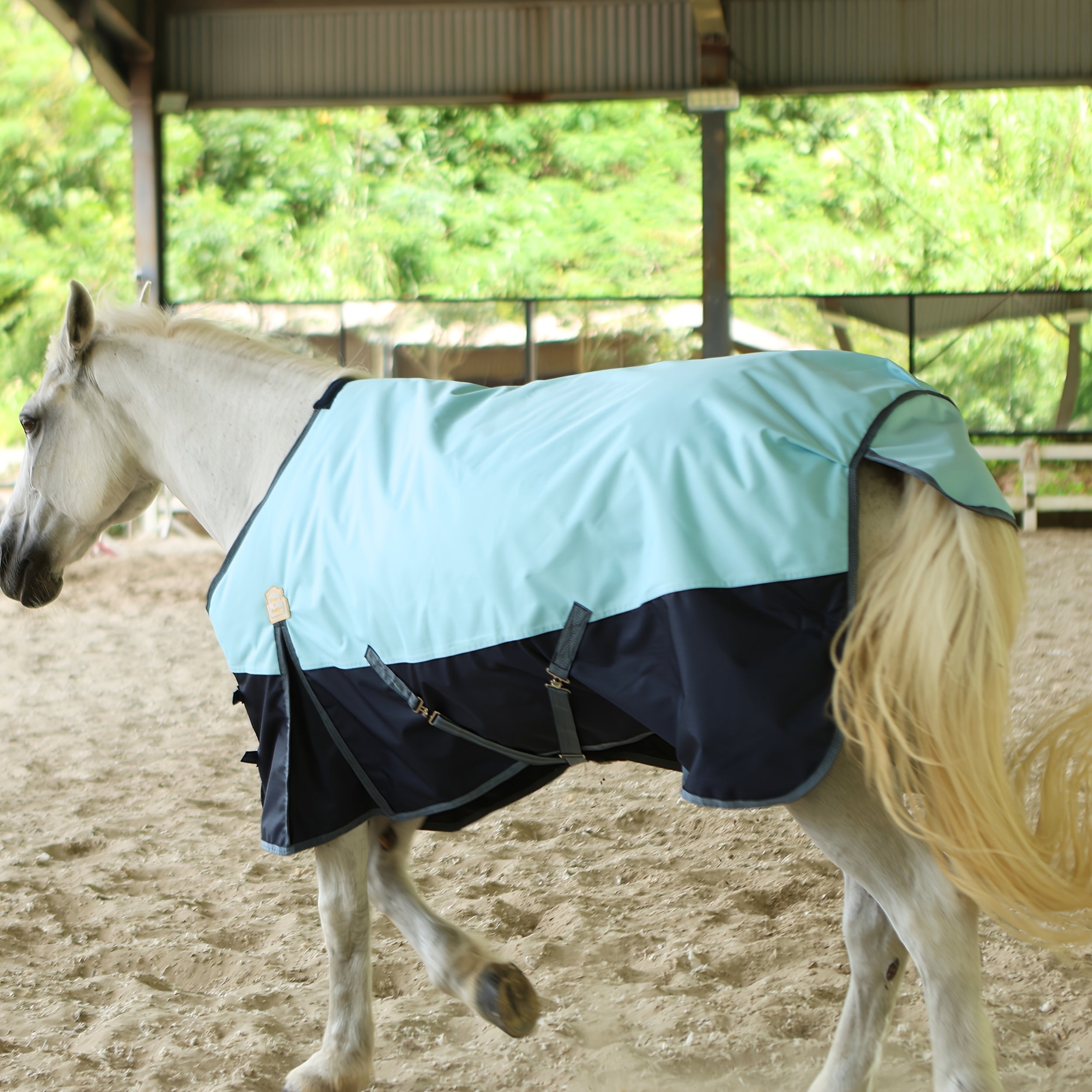 BARN & STABLE Heavy-Duty 600D Waterproof Horse Blanket - 3000mm/3000mvp Winter Turnout Rug with 200g Fill, & Adjustable Fit, All-Weather Horse Cover for Horses (Arabian, Thoroughbred, Shetland) - Durable Equestrian Gear, Hors