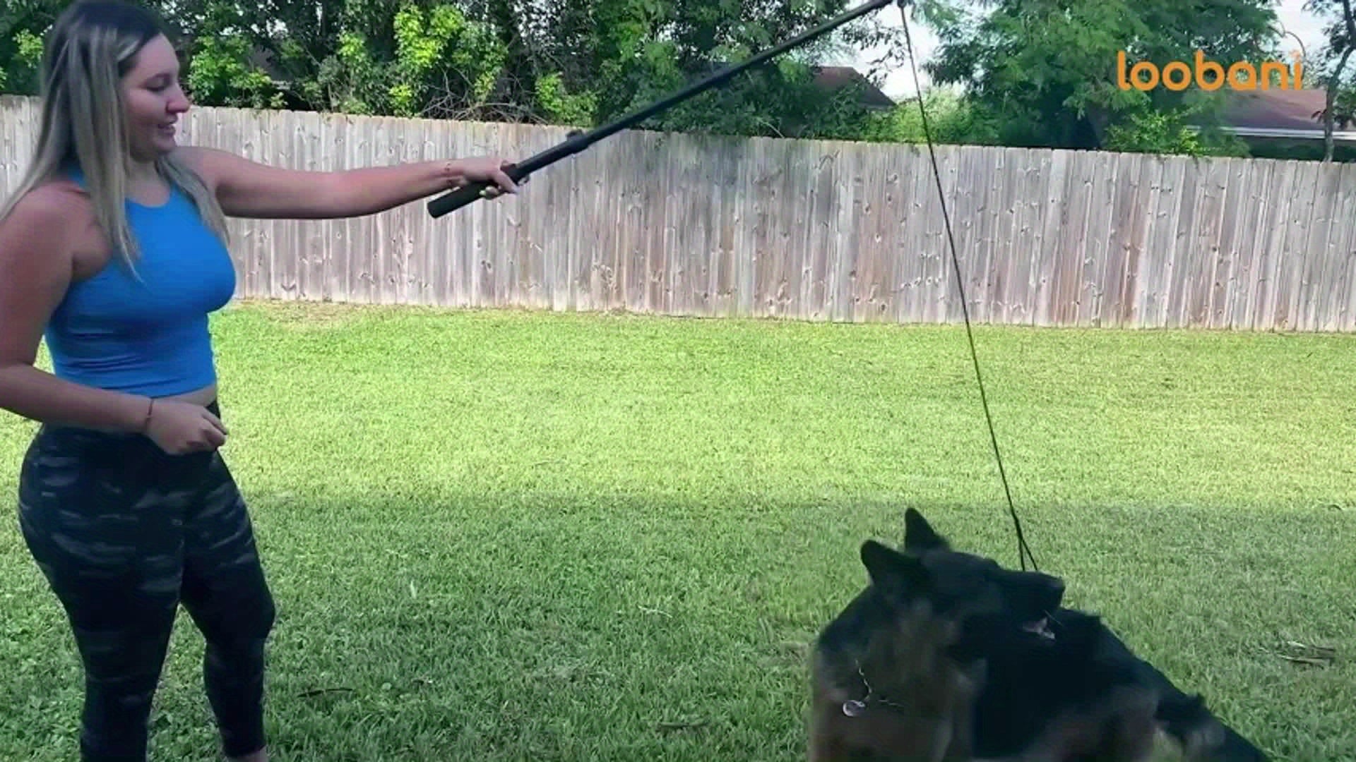LOOBANI Flirt Pole For Dogs Chase And Tug Of War,