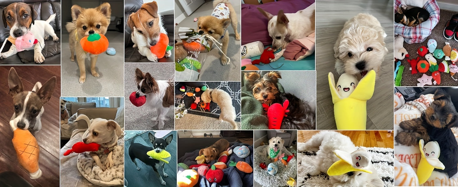Nocciola Dog Squeaky Toys, Plush Small Dog Toys for Dogs, Stuffed Dog Toys with Squeakers, 12 pcs Puppy Toys with a Carrying Bag for Small Medium Size Dogs