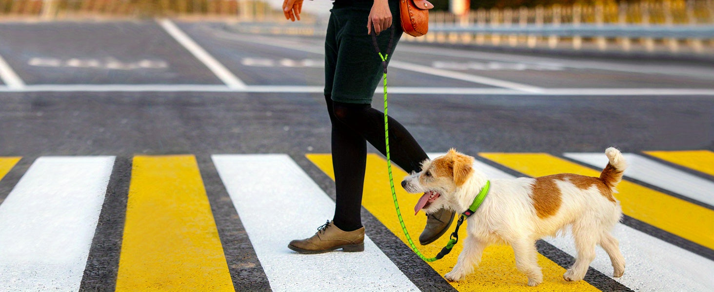 JOYTALE Reflective Dog Leash with Comfortable Padded Handle - Ideal for Small, Medium, and Large Dogs - 4/5/6 FT Length Options Available