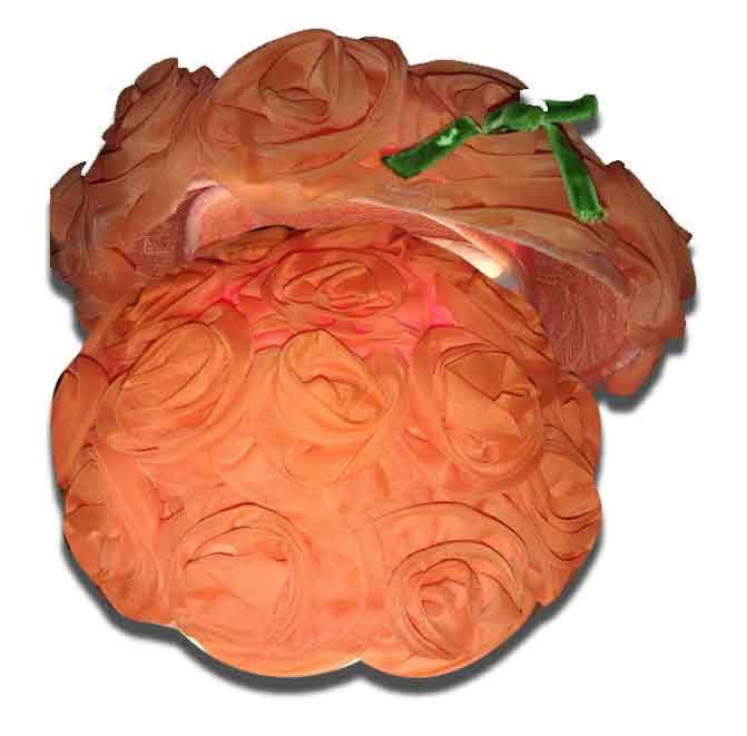 vintage-hats-hat-box-hg-4